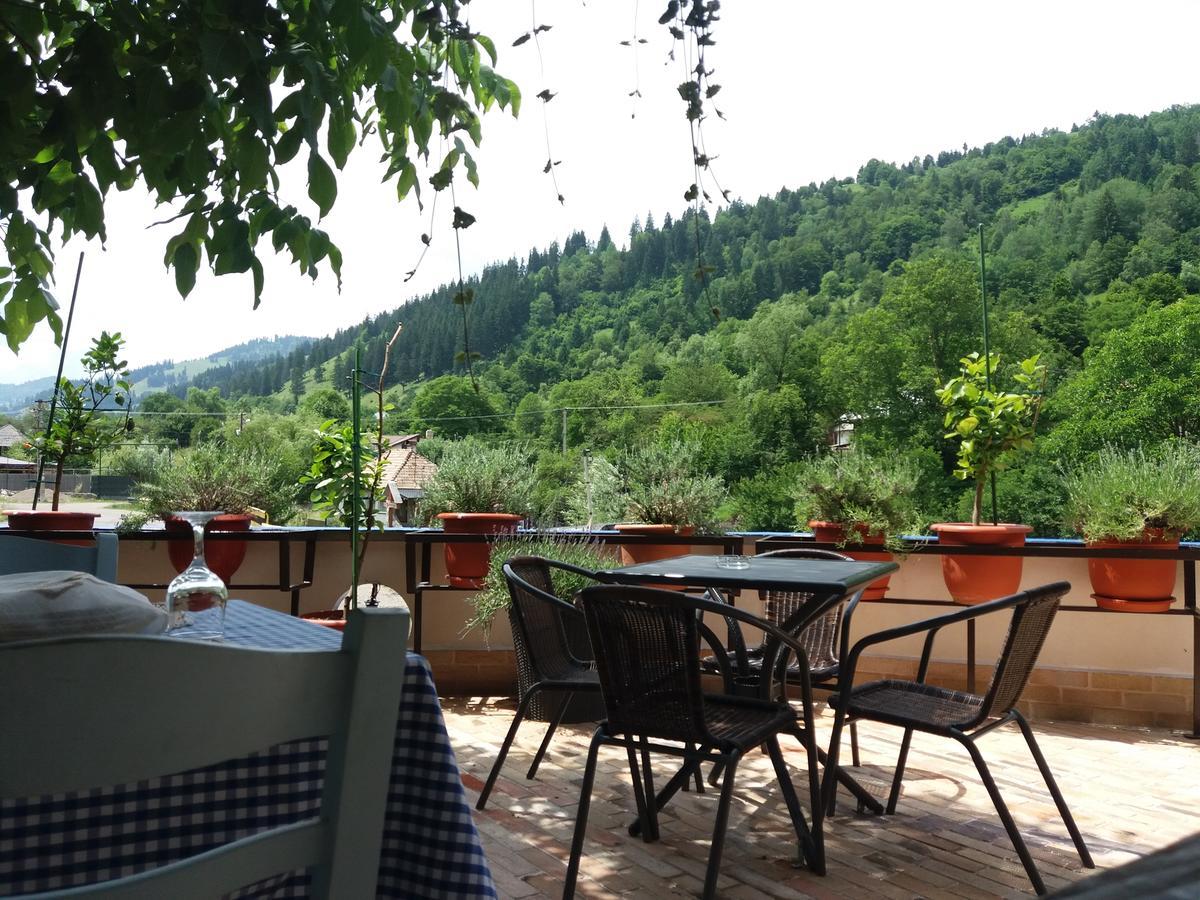 Guest house Pensiunea Total 3*